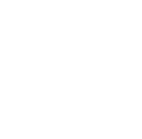 LV Premier